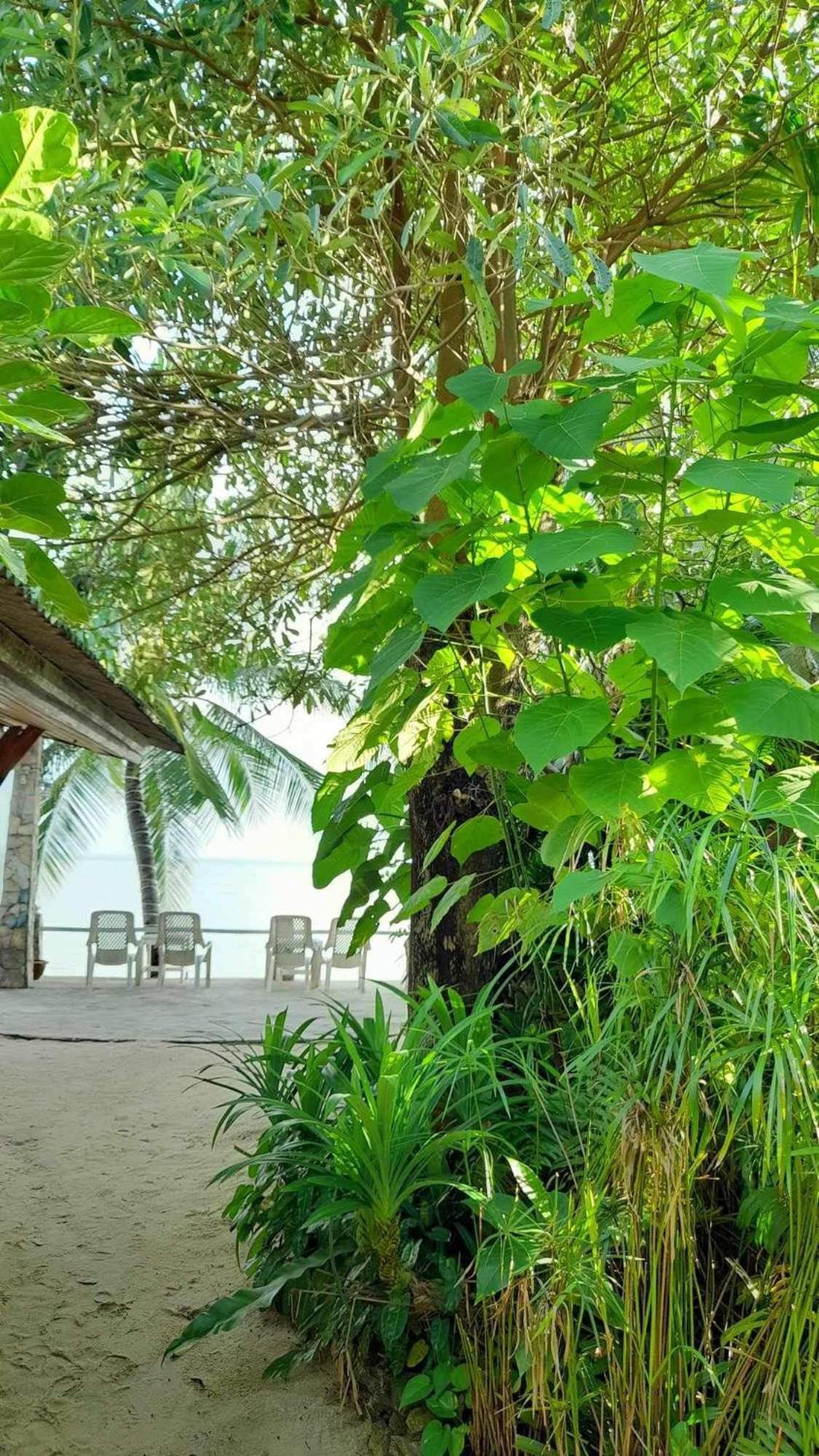Beer'S House Bungalows เบียร์เฮ้าส์บังกะโล Ban Lamai Exterior foto