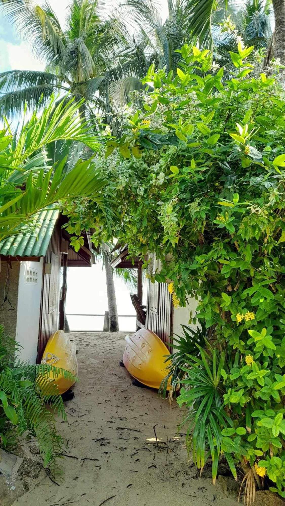 Beer'S House Bungalows เบียร์เฮ้าส์บังกะโล Ban Lamai Exterior foto